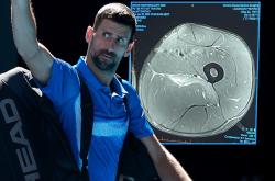 开云体育app-包含ATP总决赛翻盘戴维斯杯，德约科维奇刷新纪录的词条