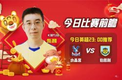 开云体育app-包含水晶宫主场-小胜伯恩利，豪取两连胜的词条