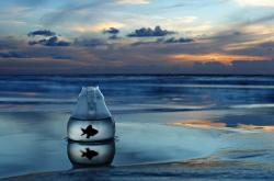 开云体育直播-范戴克刷新纪录，葡萄牙强压几内亚，欧洲足球的统治力与非洲新星的无声呐喊