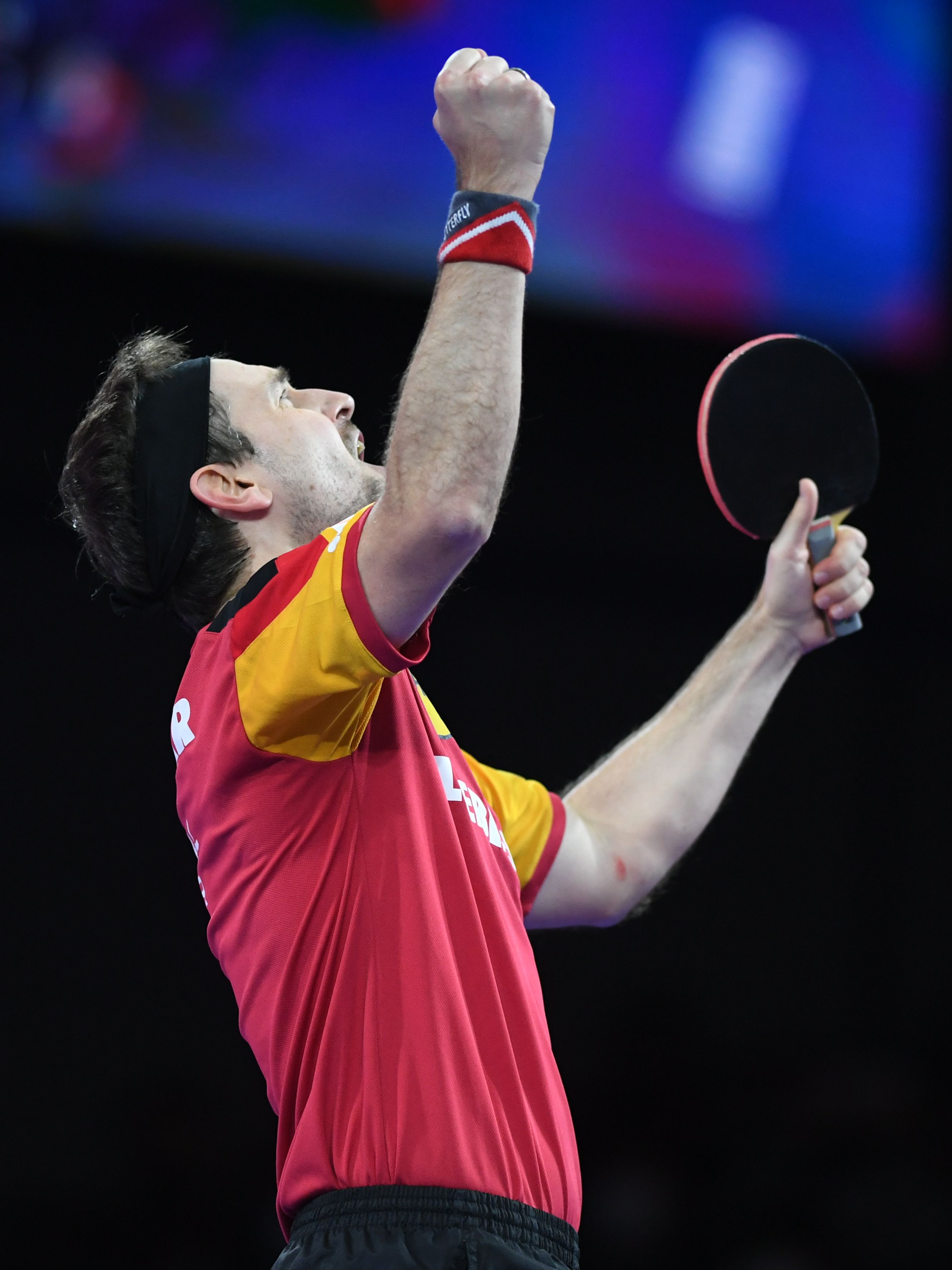 关于波兰乒乓球队强势法国乒乓球队，波尔高光表现的信息