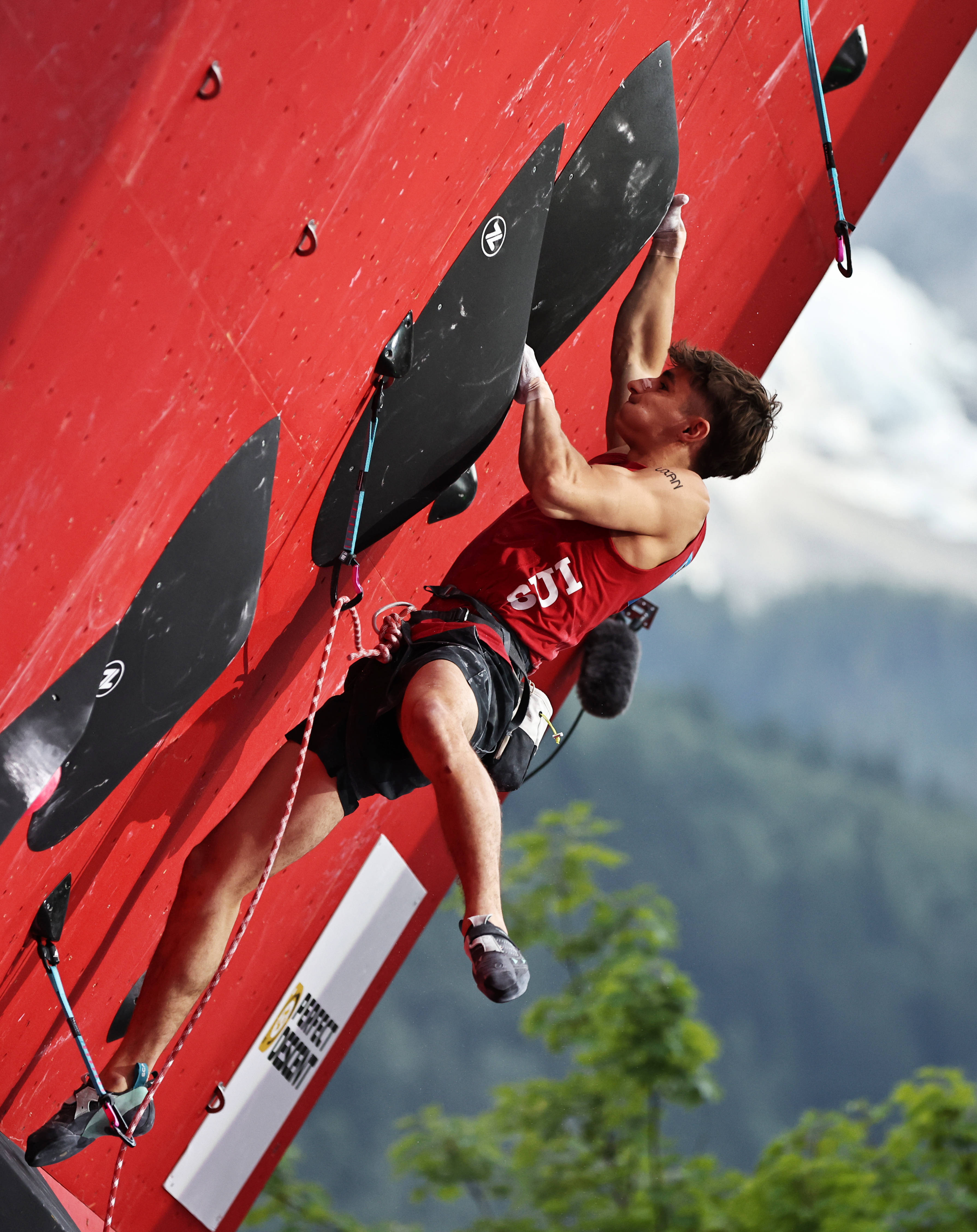 包含慕尼黑队员们在比赛中展现出色，奋勇争取胜利的词条
