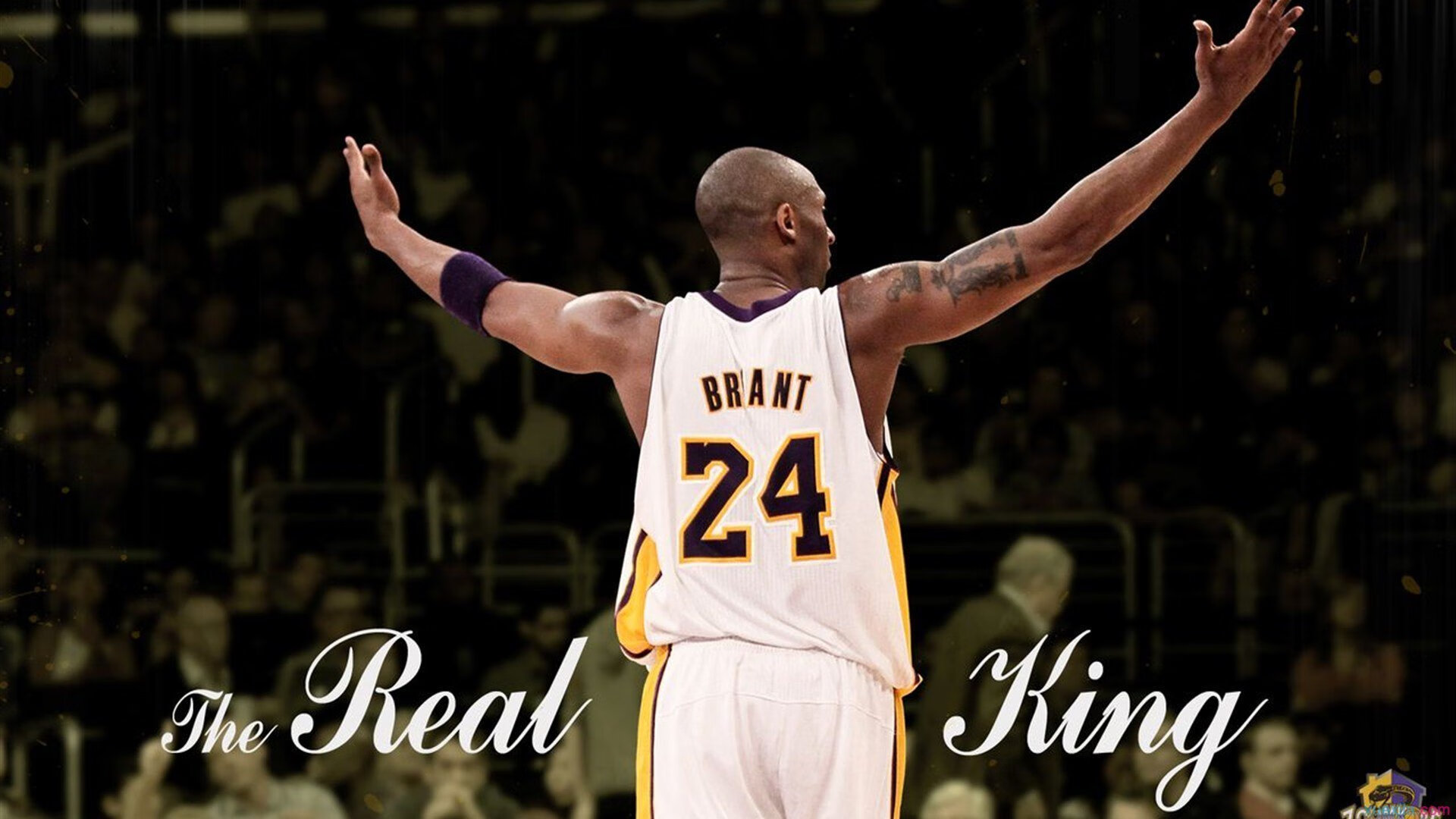 美加墨世界杯焦点战前瞻，国际米兰踏平尼斯的战术启示